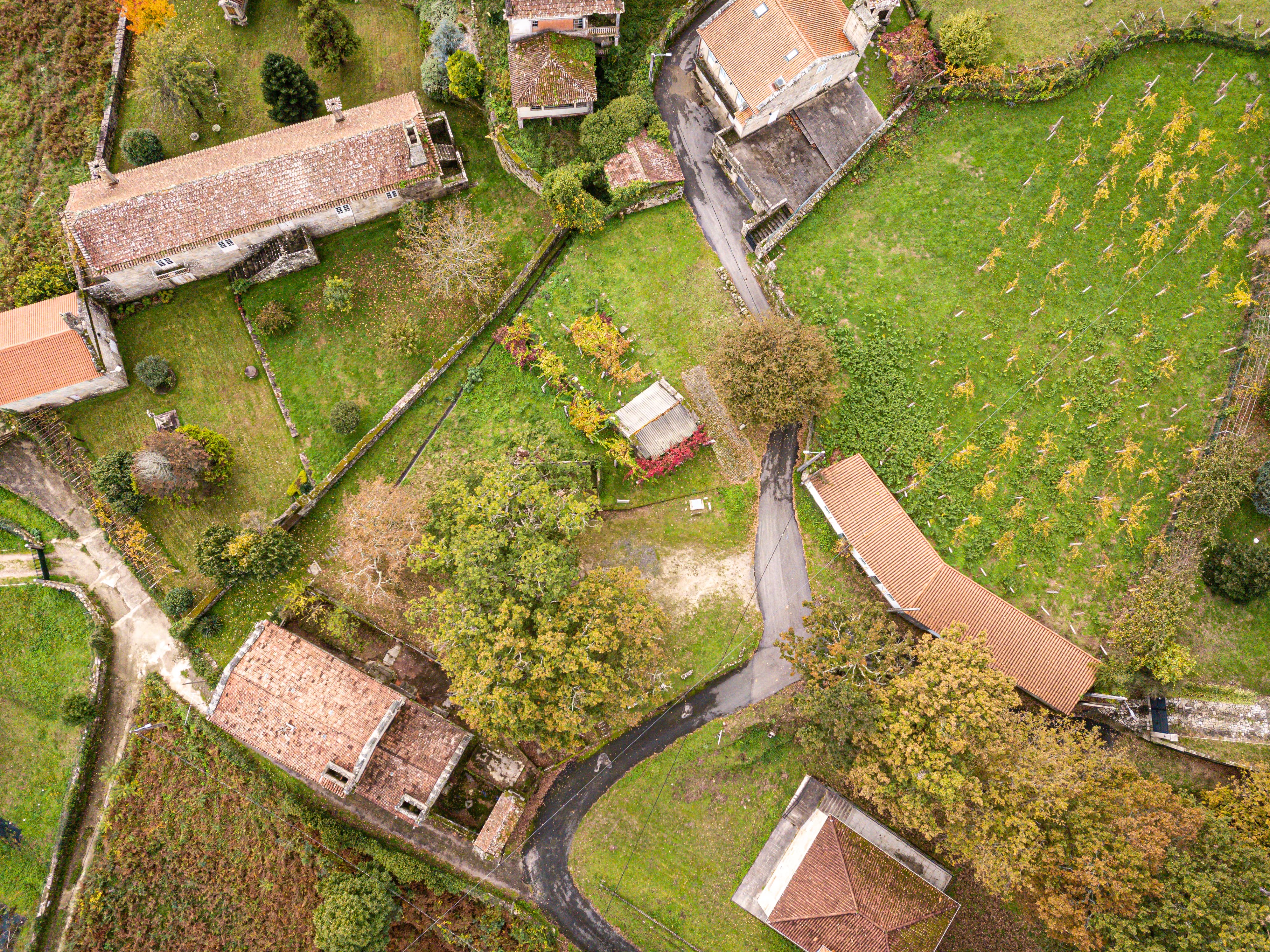 Feirón - Pazo Cervellón