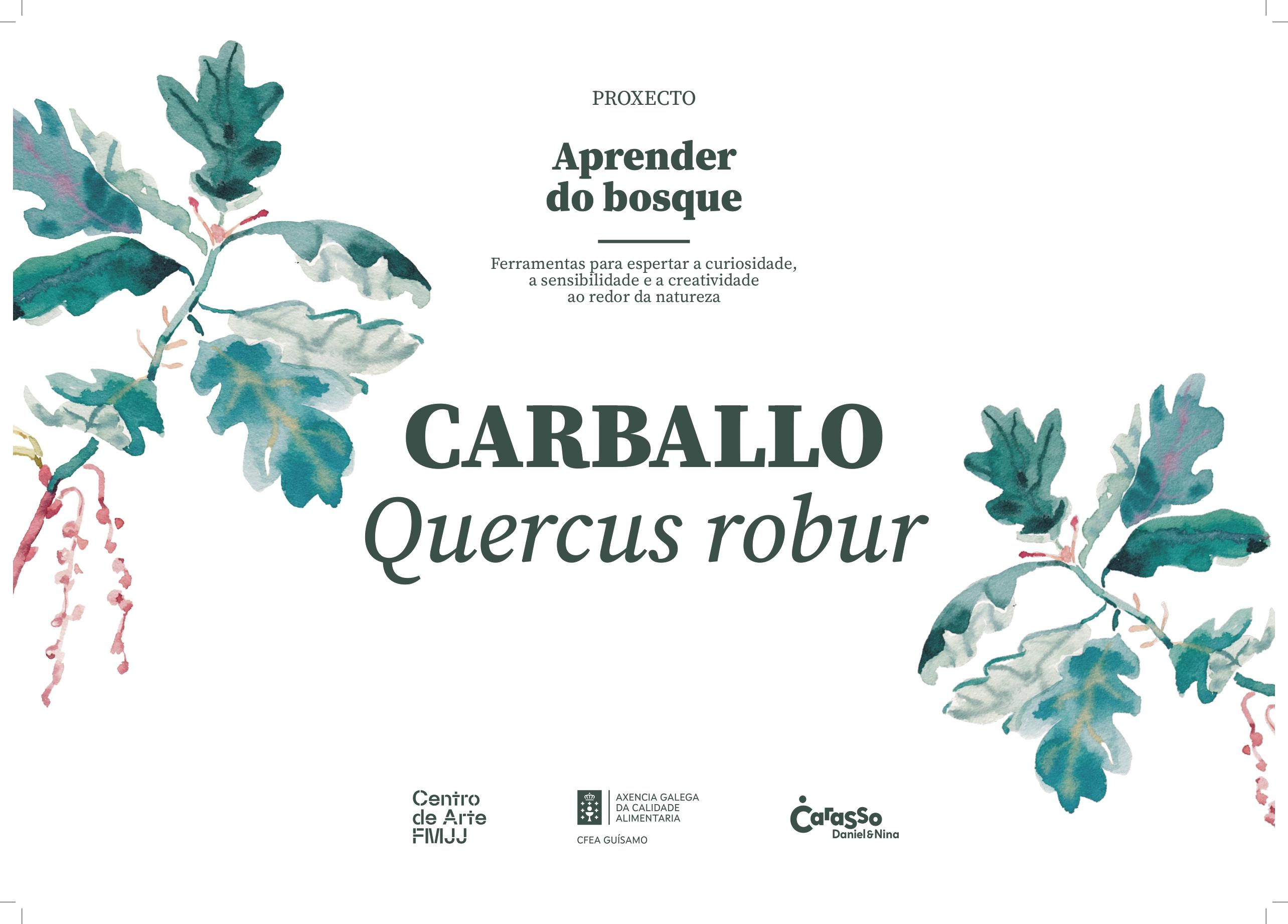 O Alcalde participa no CEIP de Valeixe nunha xornada do programa ambiental “Aprender do Bosque”  • Luis Piña visitou o CEIP de Valeixe para participar nunha xornada enmarcada no programa “Aprender do Bosque”, unha iniciativa de educación ambiental promovida pola Fundación María José Jove.  • Durante toda a visita estivo acompañado pola directora do centro, Yolanda Feijóo, e pola mestra coordinadora do proxecto, Sandra Gil.  • O centro de Valeixe foi un dos cinco centros educativos seleccionados en toda Gali
