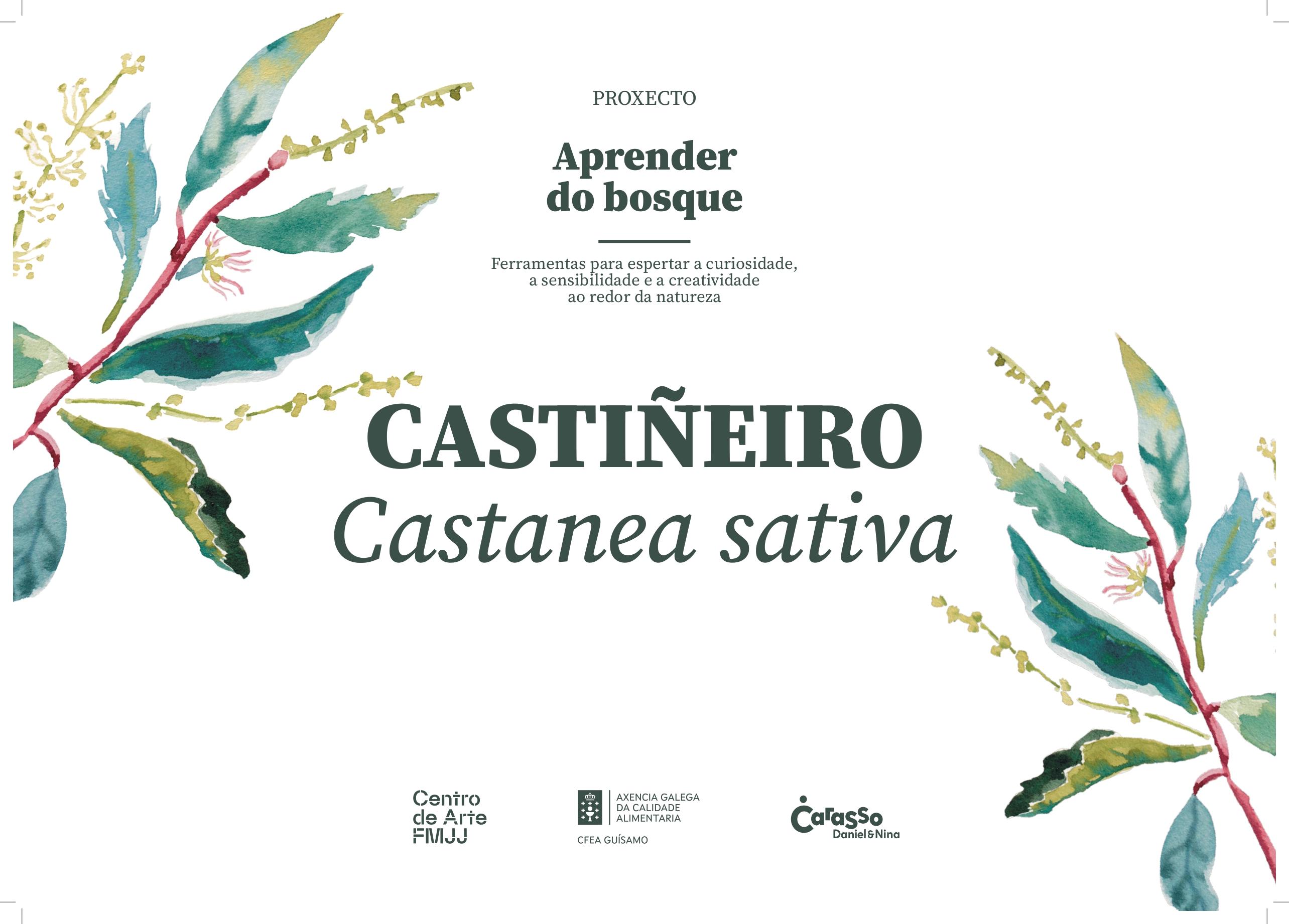 O Alcalde participa no CEIP de Valeixe nunha xornada do programa ambiental “Aprender do Bosque”  • Luis Piña visitou o CEIP de Valeixe para participar nunha xornada enmarcada no programa “Aprender do Bosque”, unha iniciativa de educación ambiental promovida pola Fundación María José Jove.  • Durante toda a visita estivo acompañado pola directora do centro, Yolanda Feijóo, e pola mestra coordinadora do proxecto, Sandra Gil.  • O centro de Valeixe foi un dos cinco centros educativos seleccionados en toda Gali