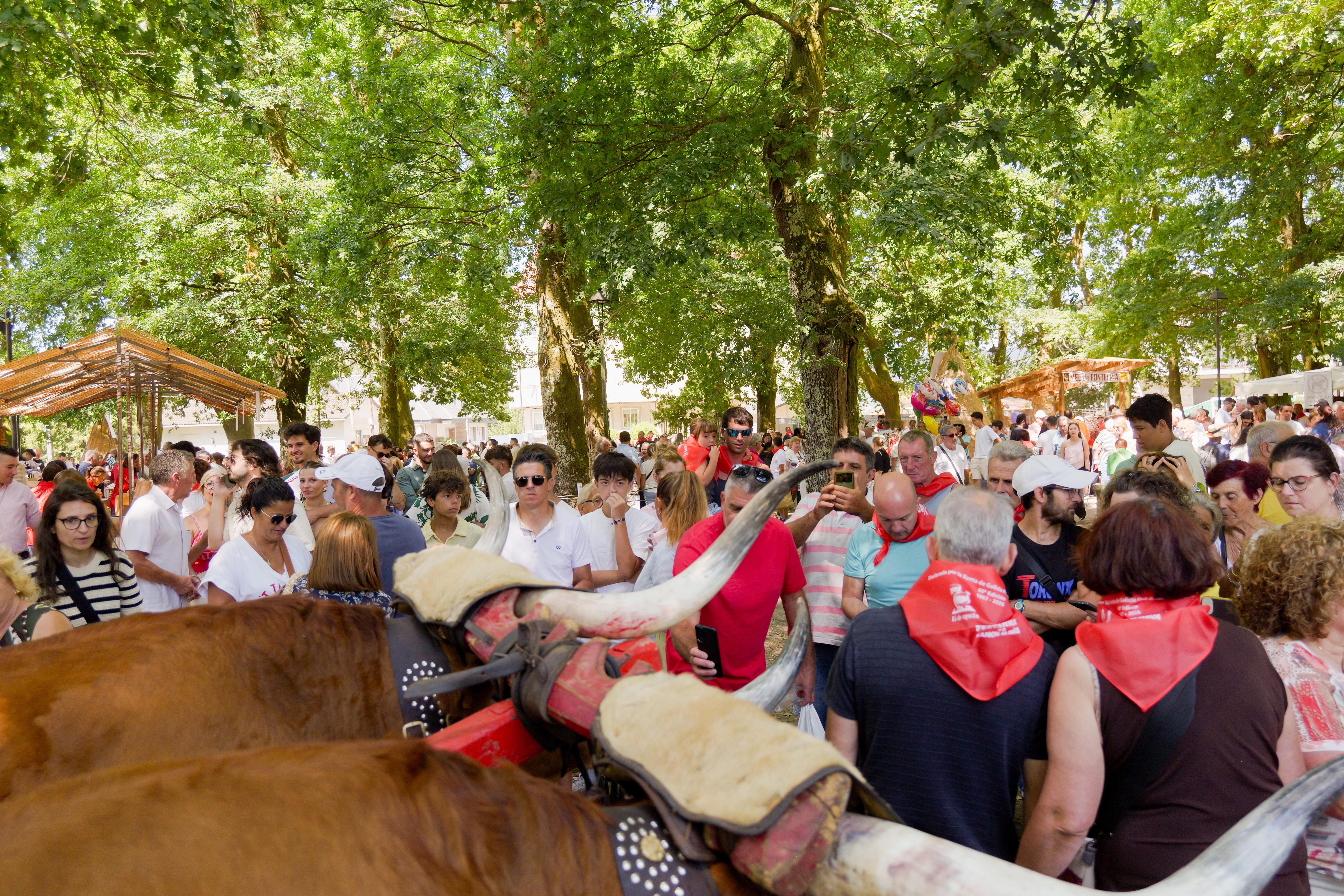Reportaxe fotográfica da 60ª edición da Festa-Feira do Xamón