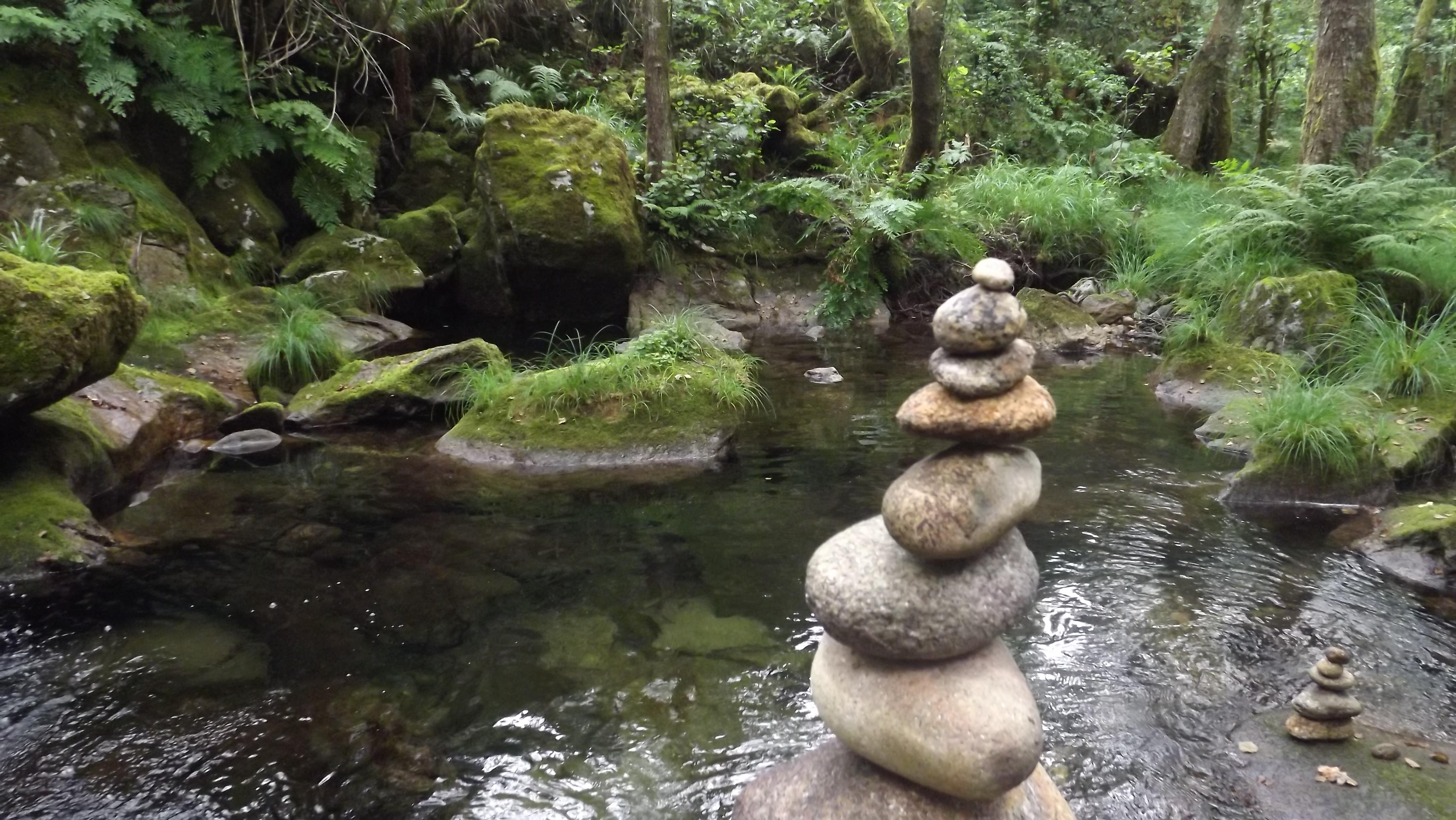 encanto do rio Calvo