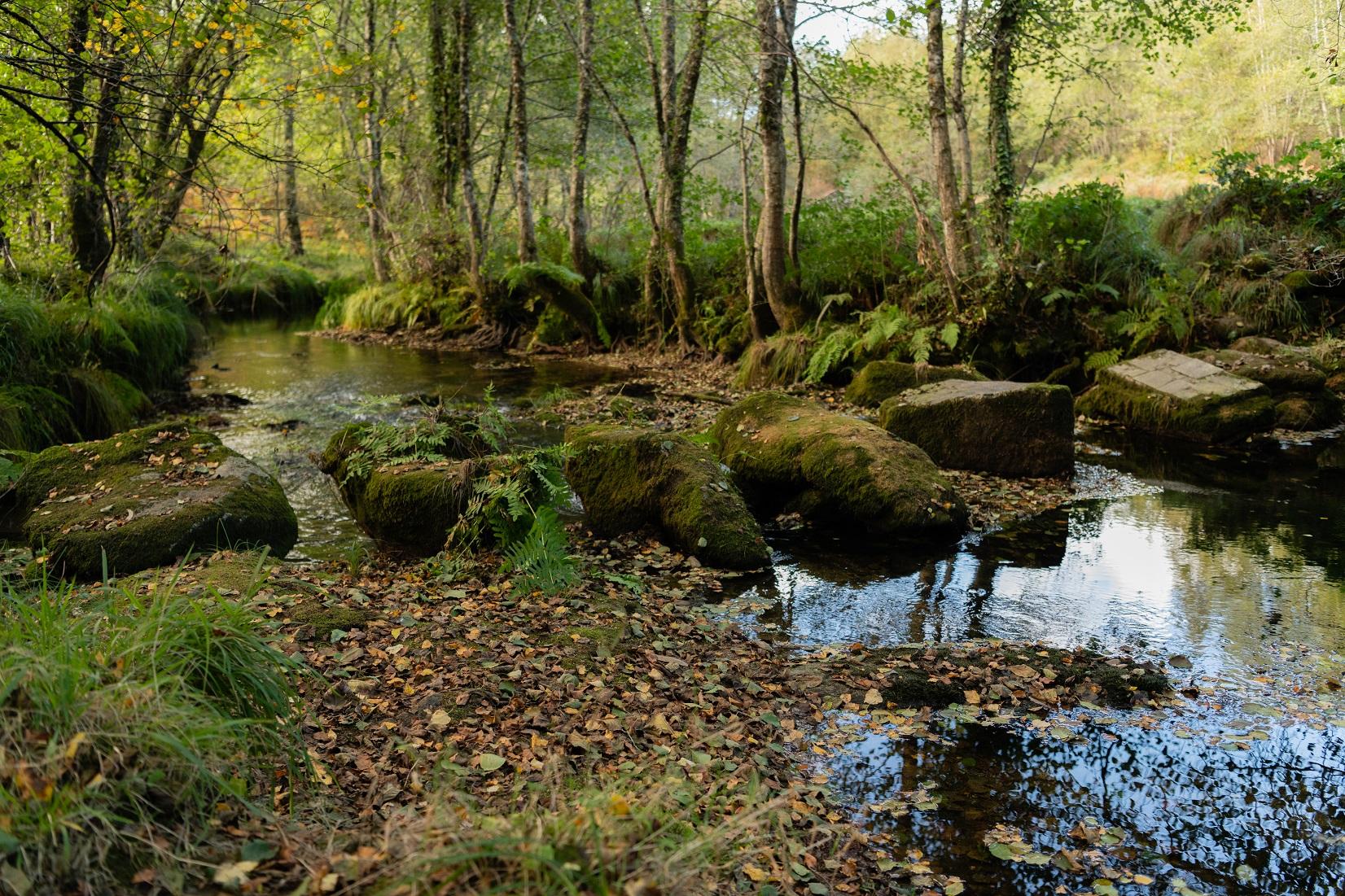 poldras de Parada