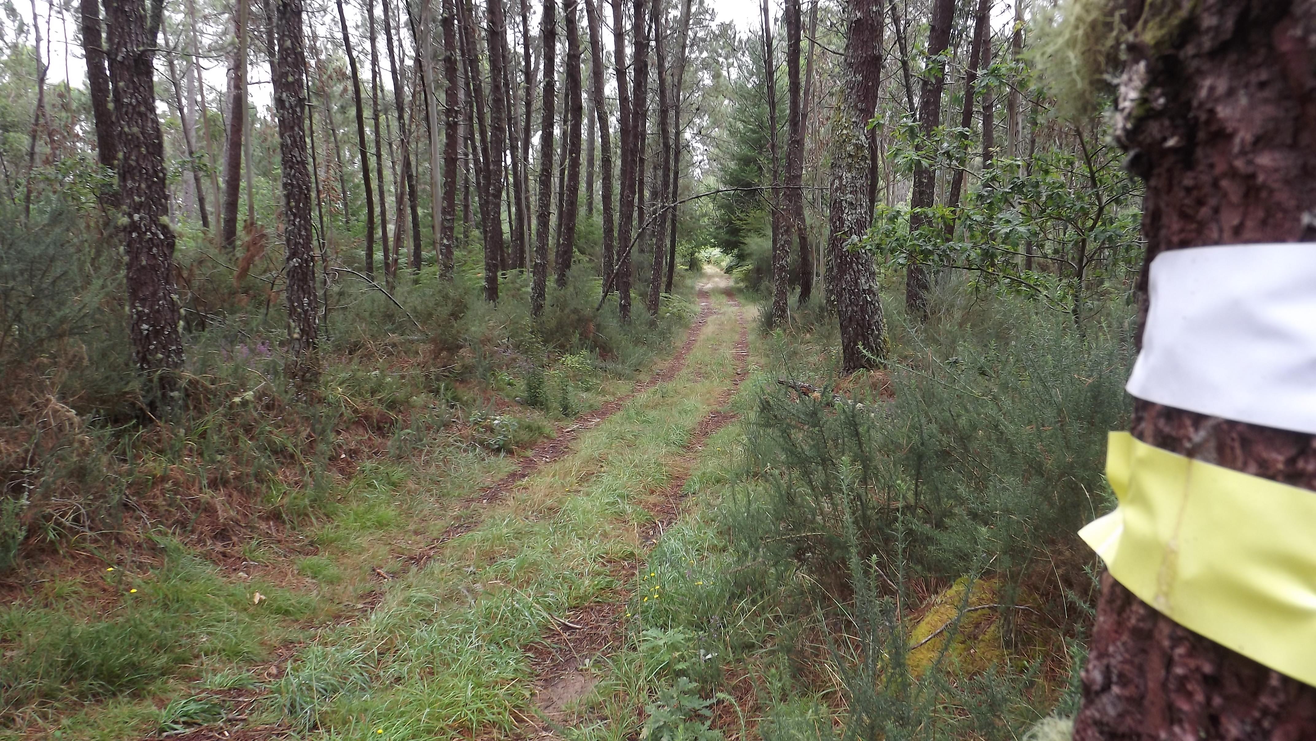 rutas de fontefria