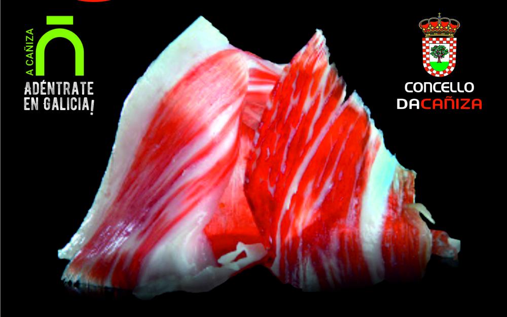 Cartel del VIII Concurso de cortadores de Jamon. A Cañiza. 15 de agosto de 2023