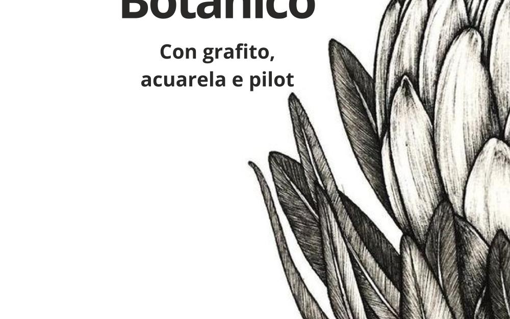 Curso monográfico de debuxo botánico con grafito, acuarela e pilot