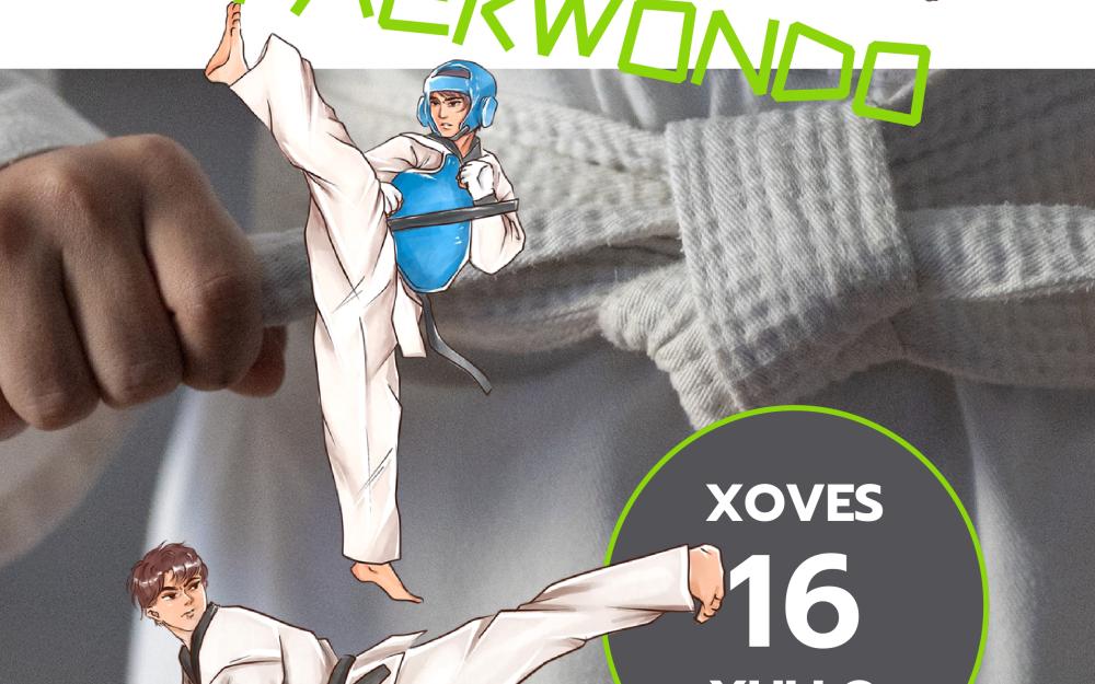 Exhibición de Taekwondo "Verán de Lecer Concello da Caniza 2026"