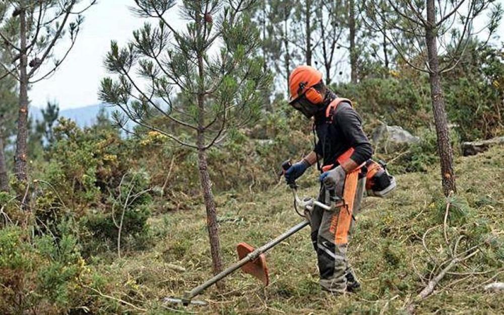 Limpieza de parcelas alrededor de los núcleos rurales