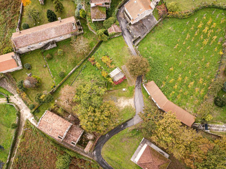 Feirón - Pazo Cervellón