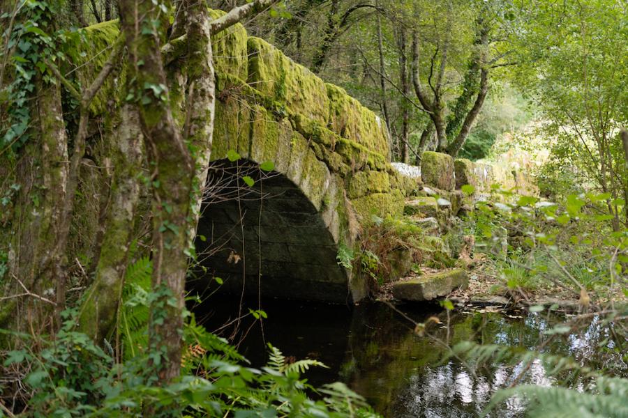 Rede Natura A Cañiza