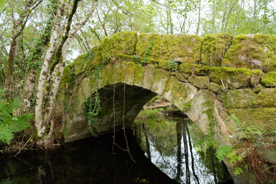 Rede Natura A Cañiza