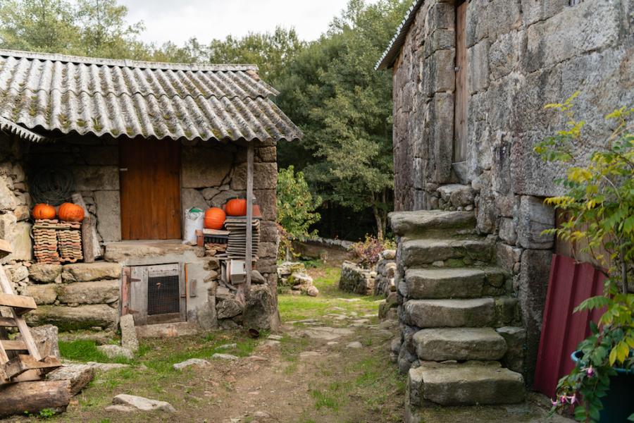 Rede Natura A Cañiza