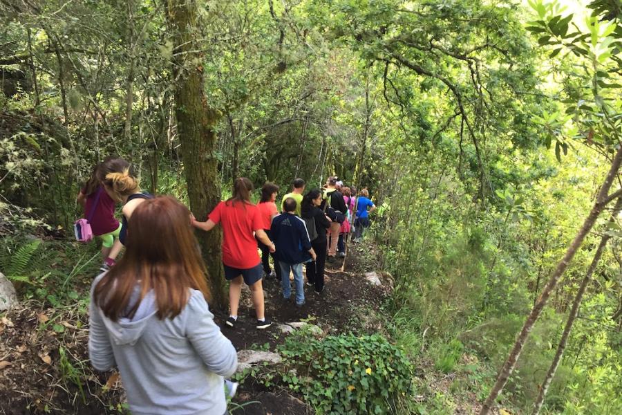 Rede Natura A Cañiza