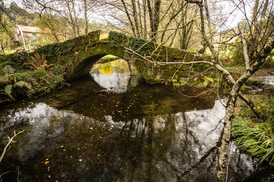Ponte de Noceifas