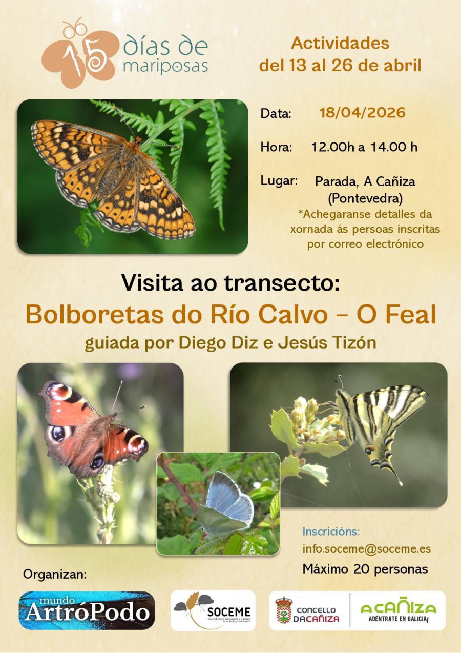 Programa «15 días de mariposas». Visita ao transecto “Bolboretas do Río Calvo – O Feal”